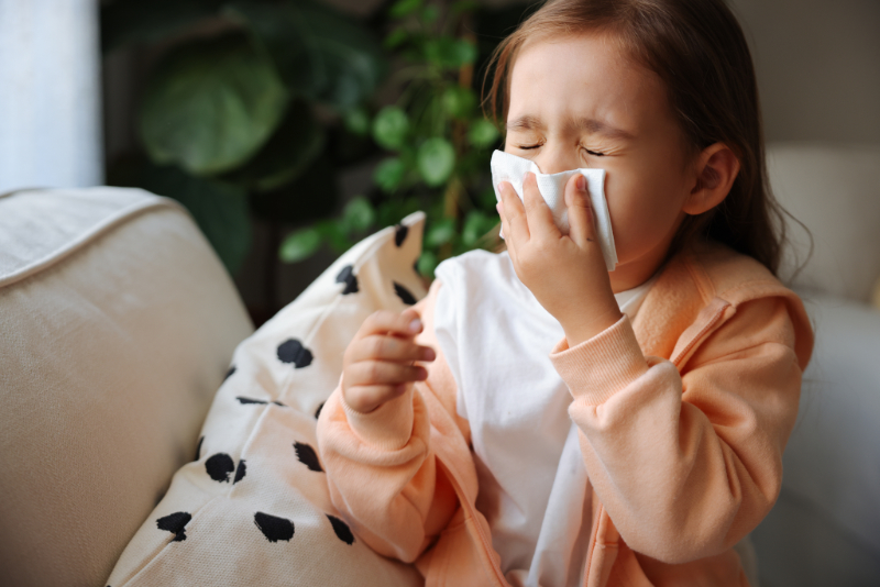 Breathe Easy: How Clean Indoor Air Helps Fight Allergies in Winchester Homes